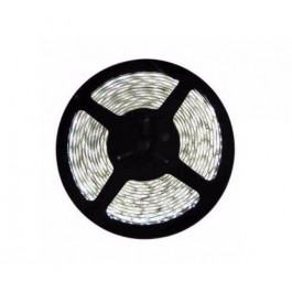 FITA DE LED 4,8W 5 METROS 6000K BRANCA 