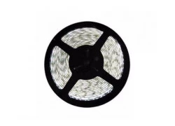 FITA DE LED 4,8W 5 METROS 6000K BRANCA 